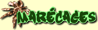 titre16.gif (8886 bytes)